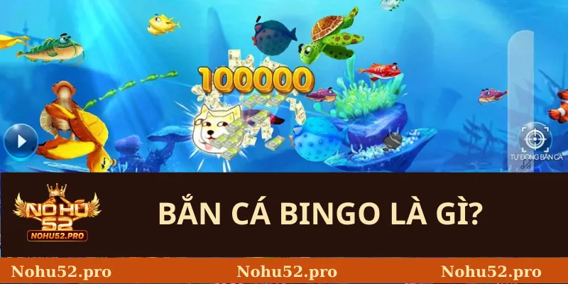 Bắn Cá Bingo Là Gì?