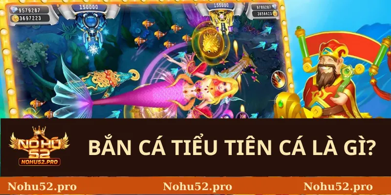 Bắn cá tiểu tiên cá là gì?