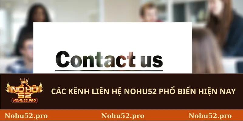 Các kênh liên hệ Nohu52 phổ biến hiện nay
