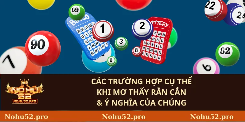 Các Trường Hợp Cụ Thể Khi Mơ Thấy Rắn Cắn & Ý Nghĩa Của Chúng