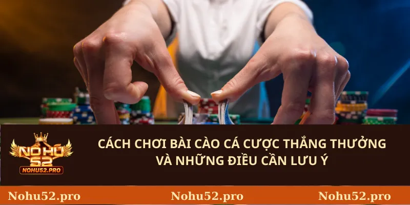 Cách chơi bài cào cá cược thắng thưởng và những điều cần lưu ý