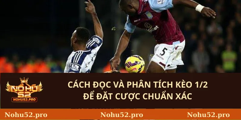 Cách đọc và phân tích kèo 1/2 để đặt cược chuẩn xác