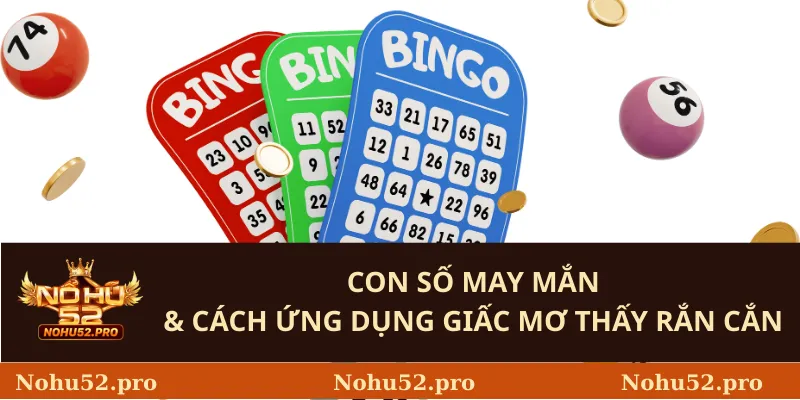 Con Số May Mắn & Cách Ứng Dụng Giấc Mơ Thấy Rắn Cắn