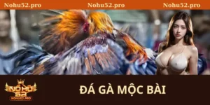đá gà mộc bài
