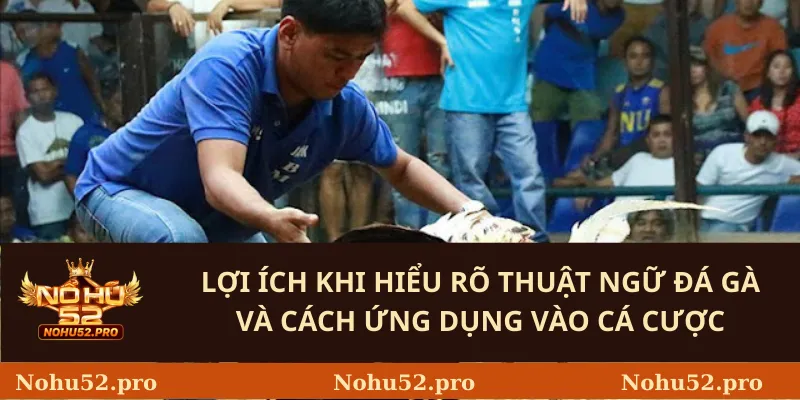Lợi Ích Khi Hiểu Rõ Thuật Ngữ Đá Gà Và Cách Ứng Dụng Vào Cá Cược