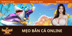 Bắn Cá Nohu52