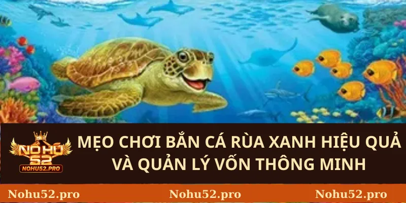 Mẹo chơi bắn cá rùa xanh hiệu quả và quản lý vốn thông minh