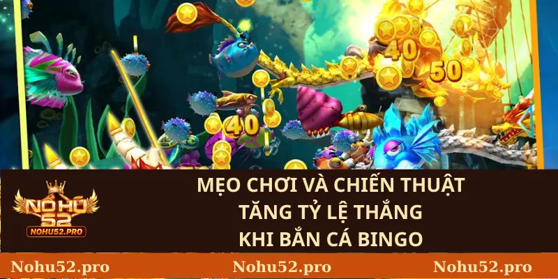 Mẹo Chơi Và Chiến Thuật Tăng Tỷ Lệ Thắng Khi Bắn Cá Bingo