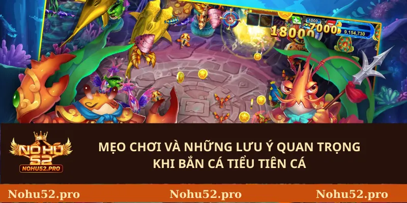 Mẹo chơi và những lưu ý quan trọng khi bắn cá tiểu tiên cá