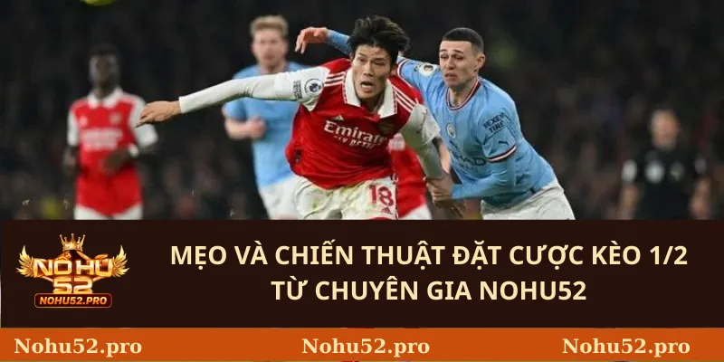 Mẹo và chiến thuật đặt cược kèo 1/2 từ chuyên gia Nohu52