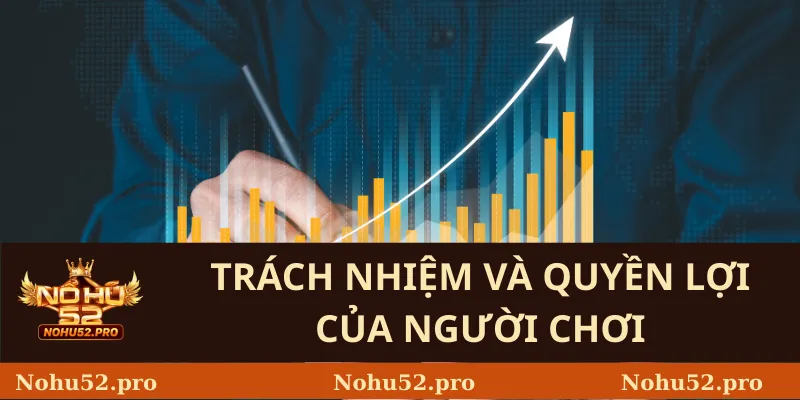 Điều Khoản Và Điều Kiện Nohu52 3 Trách Nhiệm Và Quyền Lợi Của Người Chơi